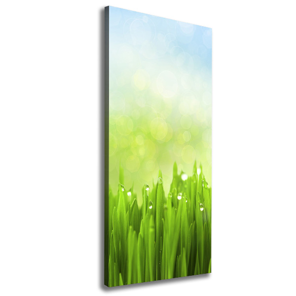 Cuadro canvas decorativo para salón vertical Césped
