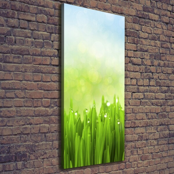 Cuadro canvas decorativo para salón vertical Césped