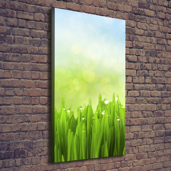 Cuadro canvas decorativo para salón vertical Césped