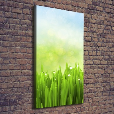 Cuadro canvas decorativo para salón vertical Césped