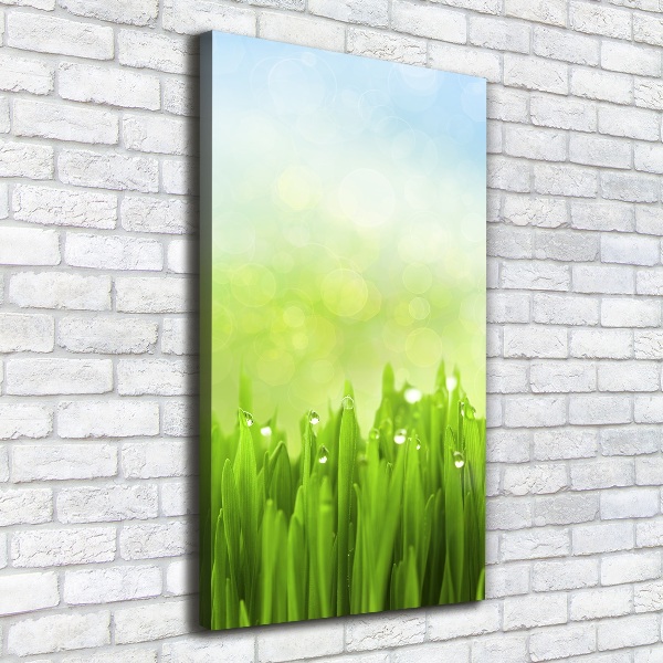 Cuadro canvas decorativo para salón vertical Césped