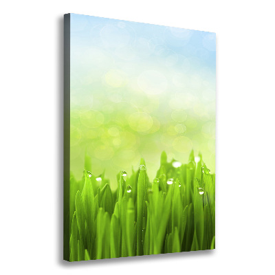 Cuadro canvas decorativo para salón vertical Césped