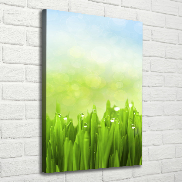 Cuadro canvas decorativo para salón vertical Césped