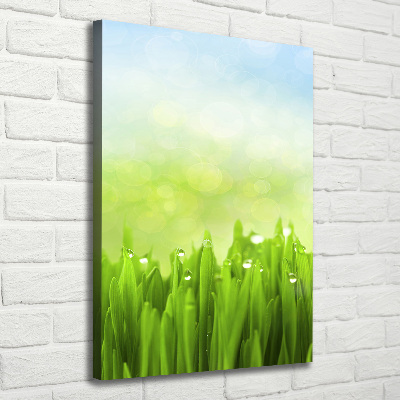 Cuadro canvas decorativo para salón vertical Césped