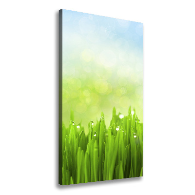 Cuadro canvas decorativo para salón vertical Césped