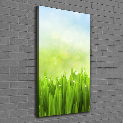 Cuadro canvas decorativo para salón vertical Césped