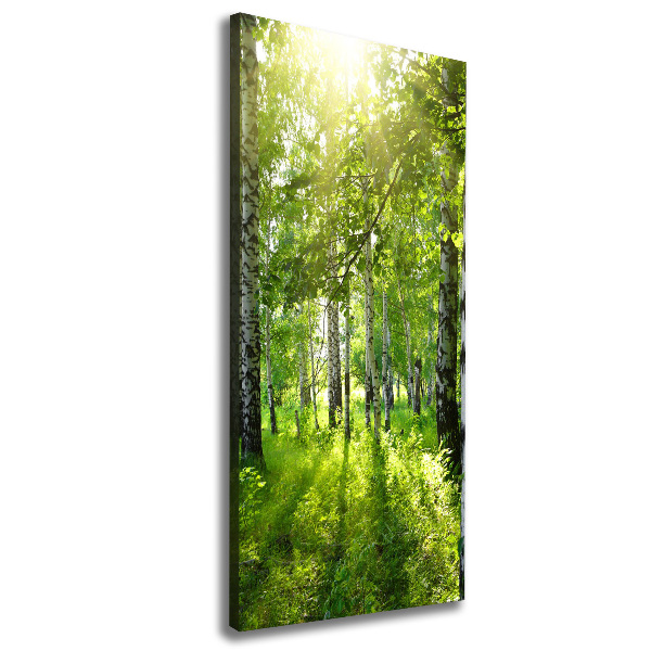 Cuadro moderno en lienzo resistente uv vertical bosque de abedules