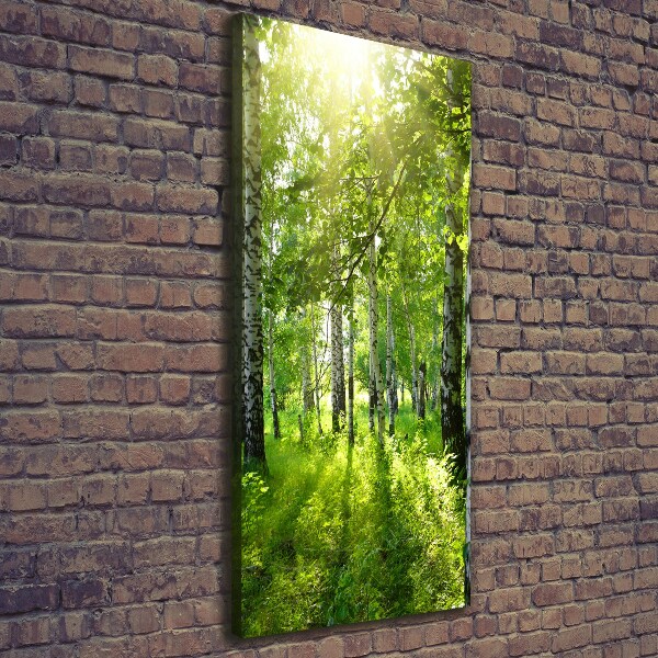Cuadro moderno en lienzo resistente uv vertical bosque de abedules