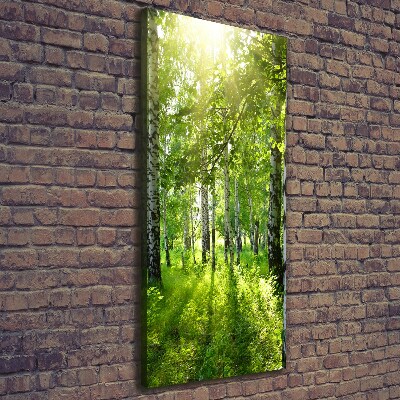 Cuadro moderno en lienzo resistente uv vertical bosque de abedules