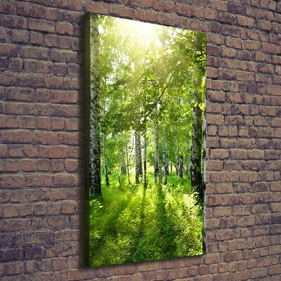 Cuadro moderno en lienzo resistente uv vertical bosque de abedules