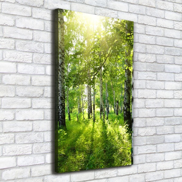 Cuadro moderno en lienzo resistente uv vertical bosque de abedules