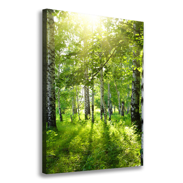 Cuadro moderno en lienzo resistente uv vertical bosque de abedules