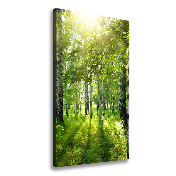 Cuadro moderno en lienzo resistente uv vertical bosque de abedules