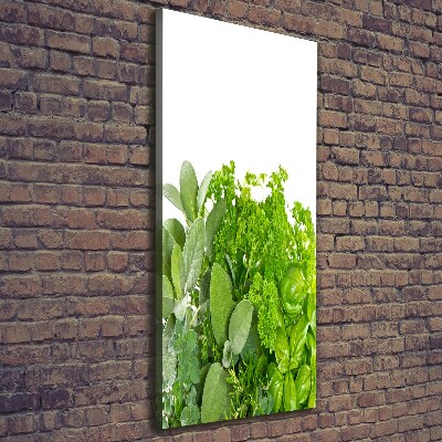 Cuadro moderno en lienzo resistente uv vertical Hierbas