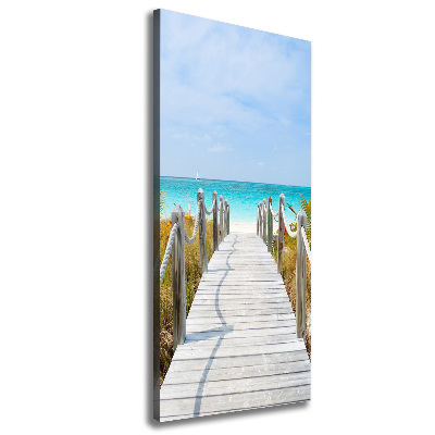 Cuadro canvas decorativo para salón vertical Camino a la playa