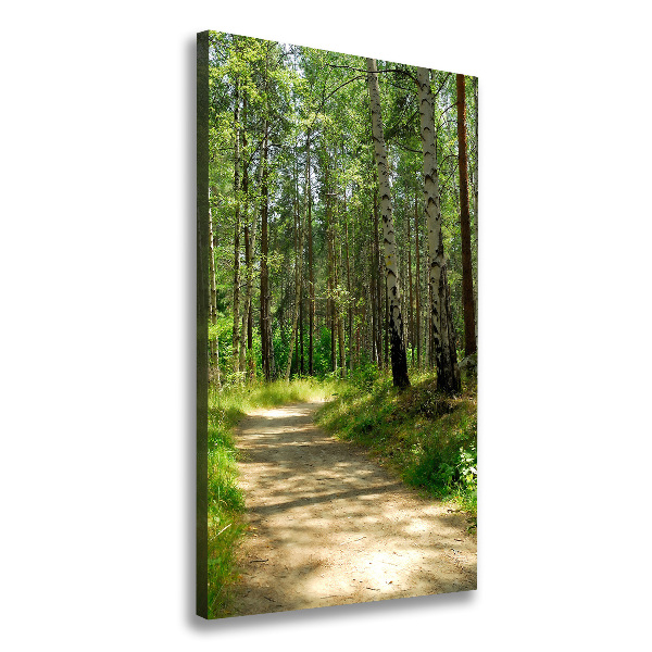 Cuadro moderno en lienzo resistente uv vertical bosque de abedules
