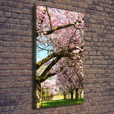 Fotografía en lienzo vertical cerezos