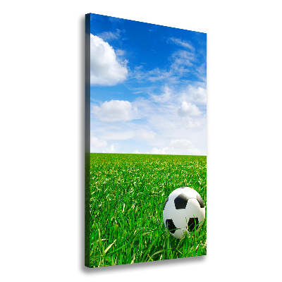 Impresión en lienzo vertical Fútbol en el prado