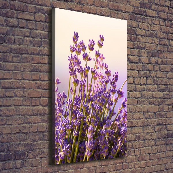 Fotografía en lienzo vertical Lavanda
