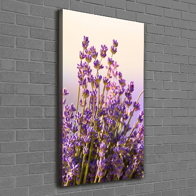 Fotografía en lienzo vertical Lavanda