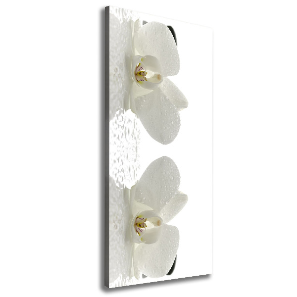 Cuadro moderno en lienzo resistente uv vertical Orquídea y piedras