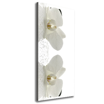 Cuadro moderno en lienzo resistente uv vertical Orquídea y piedras