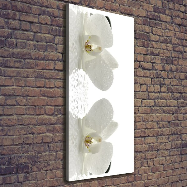 Cuadro moderno en lienzo resistente uv vertical Orquídea y piedras