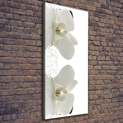 Cuadro moderno en lienzo resistente uv vertical Orquídea y piedras