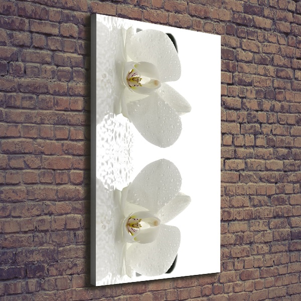 Cuadro moderno en lienzo resistente uv vertical Orquídea y piedras