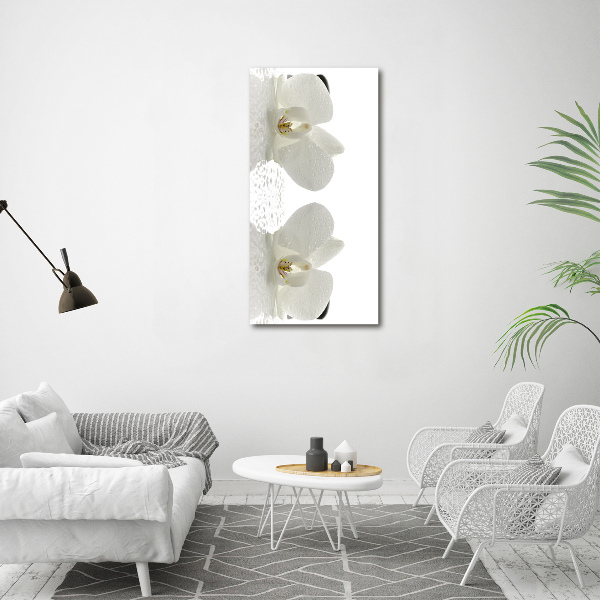 Cuadro moderno en lienzo resistente uv vertical Orquídea y piedras