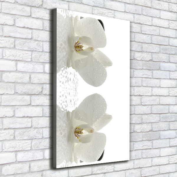 Cuadro moderno en lienzo resistente uv vertical Orquídea y piedras