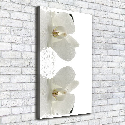 Cuadro moderno en lienzo resistente uv vertical Orquídea y piedras