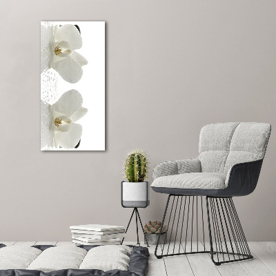 Cuadro moderno en lienzo resistente uv vertical Orquídea y piedras