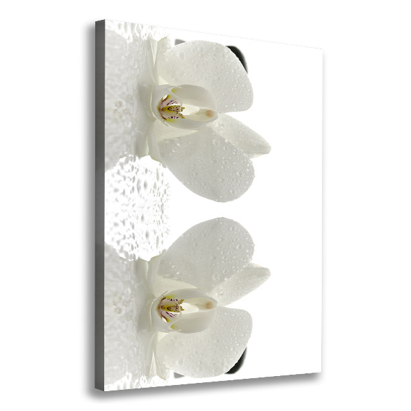 Cuadro moderno en lienzo resistente uv vertical Orquídea y piedras