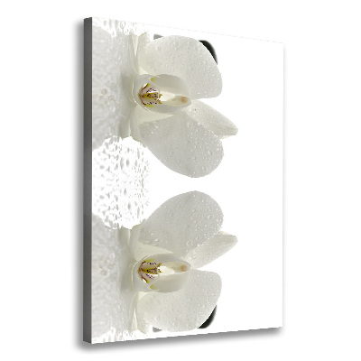 Cuadro moderno en lienzo resistente uv vertical Orquídea y piedras