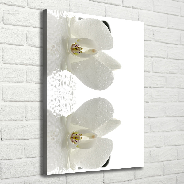 Cuadro moderno en lienzo resistente uv vertical Orquídea y piedras