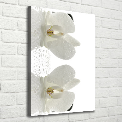 Cuadro moderno en lienzo resistente uv vertical Orquídea y piedras