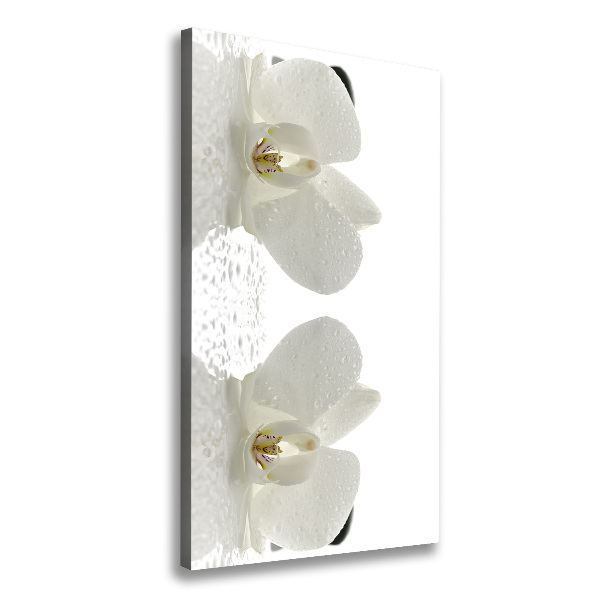 Cuadro moderno en lienzo resistente uv vertical Orquídea y piedras