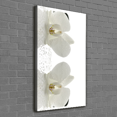 Cuadro moderno en lienzo resistente uv vertical Orquídea y piedras