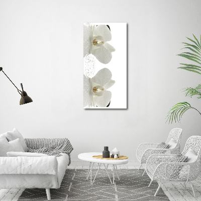 Cuadro moderno en lienzo resistente uv vertical Orquídea y piedras
