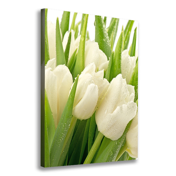 Impresión en lienzo vertical tulipanes blancos