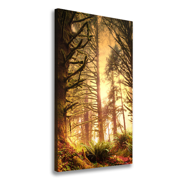 Cuadro moderno en lienzo resistente uv vertical Selva tropical