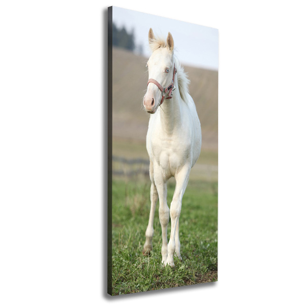 Fotografía en lienzo vertical Caballo albino
