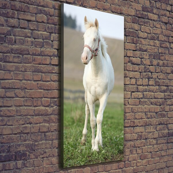 Fotografía en lienzo vertical Caballo albino
