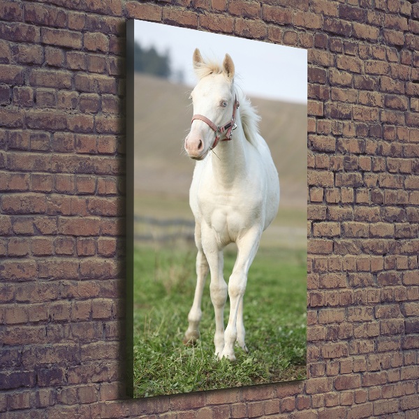 Fotografía en lienzo vertical Caballo albino