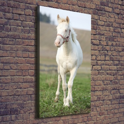 Fotografía en lienzo vertical Caballo albino