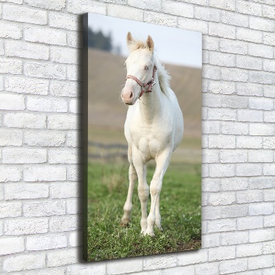 Fotografía en lienzo vertical Caballo albino