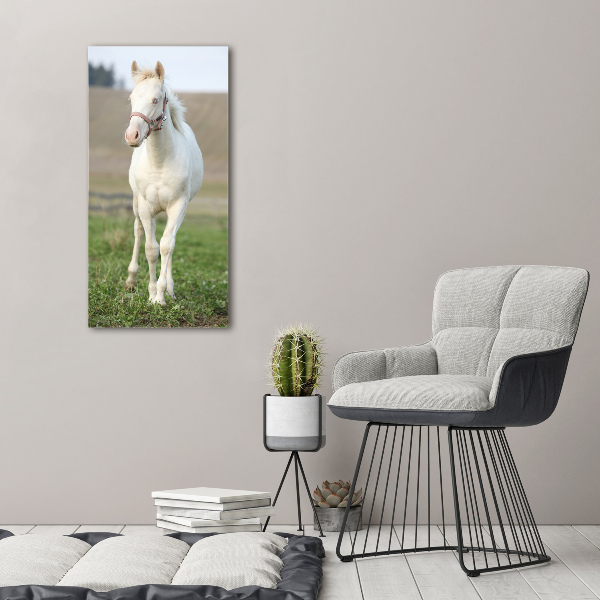 Fotografía en lienzo vertical Caballo albino