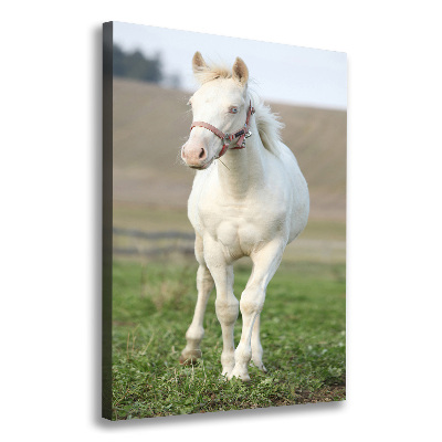 Fotografía en lienzo vertical Caballo albino