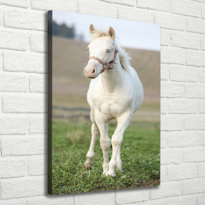 Fotografía en lienzo vertical Caballo albino